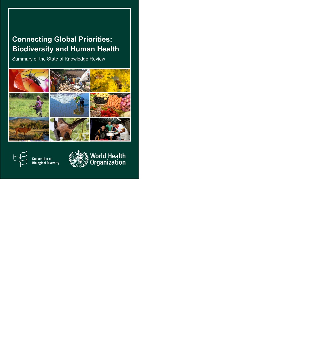 Connecting global priorities: biodiversity and human health - summary of the state of knowledge review
